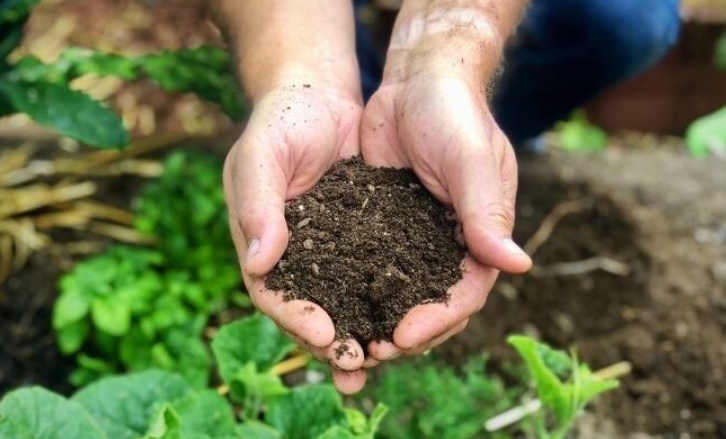 Kompostovanie v záhrade - kompost - organické hnojivo